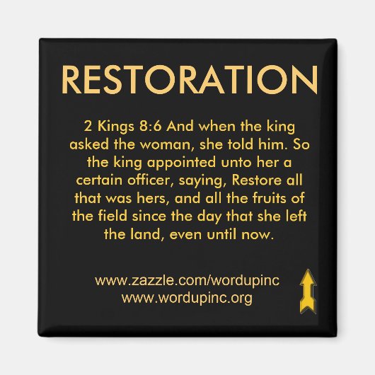 復元磁石 マグネット (正面)