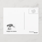 復活主義者 ポストカード (裏面)