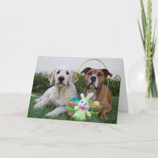 復活祭が卵の貯蔵庫でありますように シーズンカード