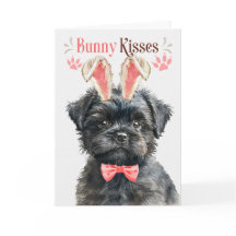 復活祭のためのバニー耳のアフェンピンシェ犬