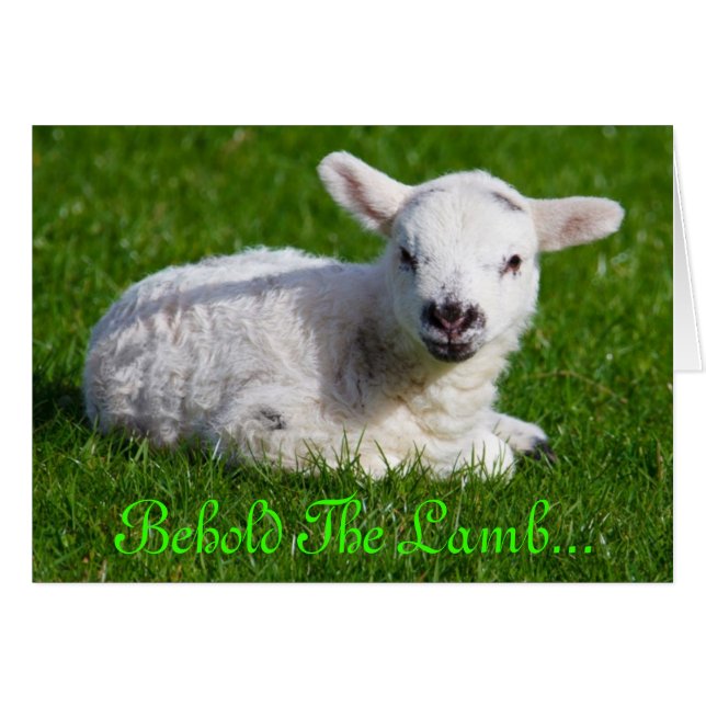 復活祭の子羊III (正面横)