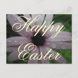 復活祭の挨拶 シーズンポストカード
