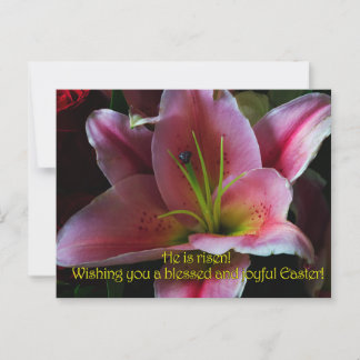 復活祭の挨拶 ポストカード
