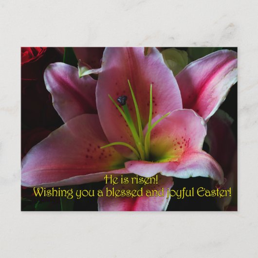 復活祭の挨拶 ポストカード (正面)