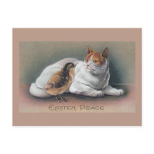 復活祭の猫と雛