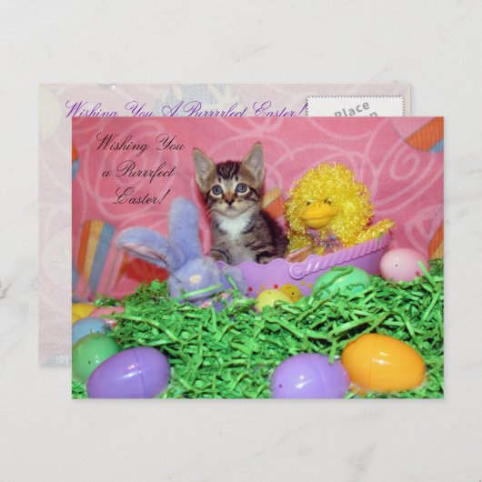 復活祭の願いを守れ！ シーズンポストカード (正面/裏面)