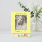 復活祭はがきを採用する シーズンポストカード (スタンド正面)