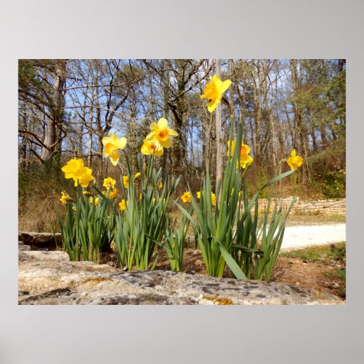 復活祭ポスターの水仙 ポスター (正面)