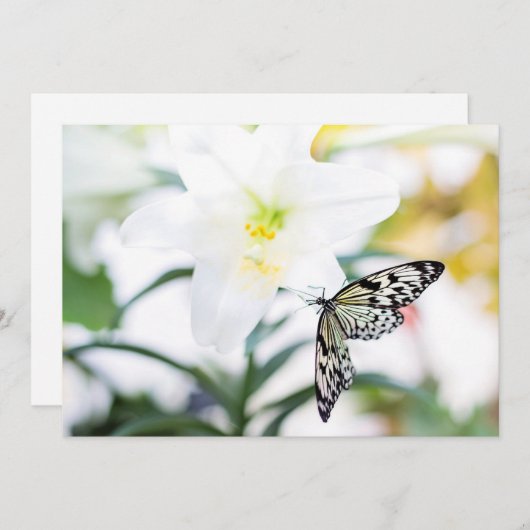 復活祭恵み1ヨハネ2:25聖書の聖句 シーズンカード (正面/裏面)