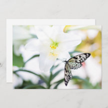 復活祭恵み1ヨハネ2:25聖書の聖句