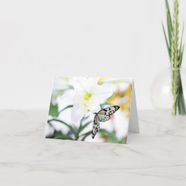 復活祭恵み1ヨハネ2:25聖書の聖句 シーズンカード