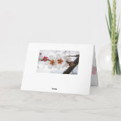 復活祭恵み1ヨハネ2:25聖書の聖句 シーズンカード (裏面)