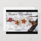 復活祭恵み1ヨハネ2:25聖書の聖句 シーズンポストカード (正面/裏面)