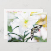 復活祭恵み1ヨハネ2:25聖書の聖句 シーズンポストカード (正面/裏面)