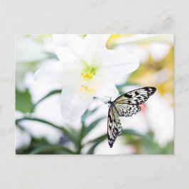 復活祭恵み1ヨハネ2:25聖書の聖句 シーズンポストカード