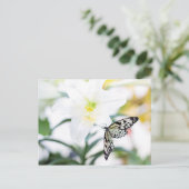 復活祭恵み1ヨハネ2:25聖書の聖句 シーズンポストカード (スタンド正面)