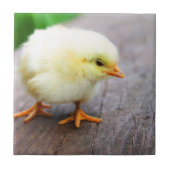 復活祭 タイル (正面)