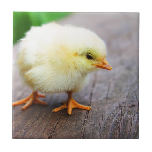 復活祭 タイル (正面)