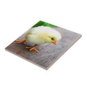 復活祭 タイル (側面)