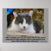 復讐の不機嫌な子猫と – シャーロッテグレイ引用文 ポスター (正面)