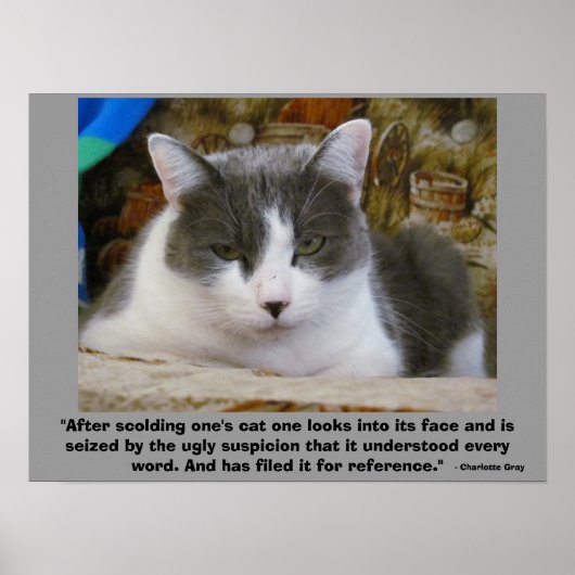 復讐の不機嫌な子猫と – シャーロッテグレイ引用文 ポスター (正面)