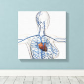 循環系の医学的イラストレーション キャンバスプリント (インサイチュ (ウッドフロア))