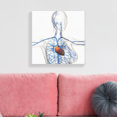 循環系の医学的イラストレーション キャンバスプリント (インサイチュ (リビング))