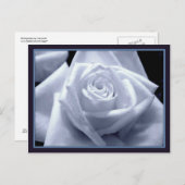 微妙なブルース ポストカード (正面/裏面)