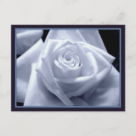 微妙なブルース ポストカード (正面)