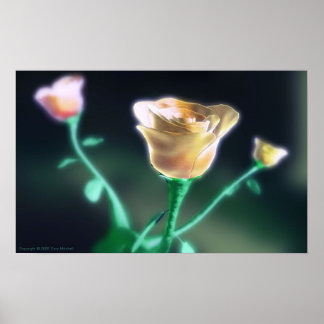 微妙な美しい ポスター