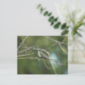 微妙な美しい ポストカード (スタンド正面)