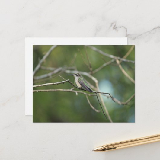 微妙な美しい ポストカード (正面/裏面インサイチュ)