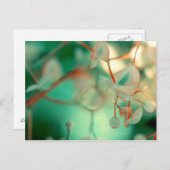 微妙な落下 ポストカード (正面/裏面)