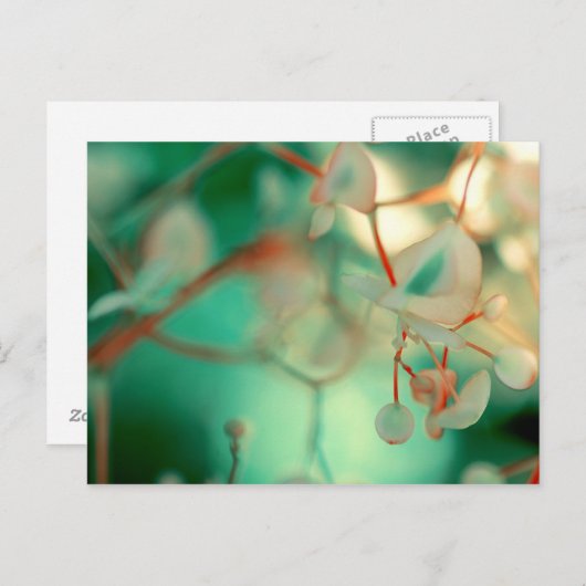 微妙な落下 ポストカード (正面/裏面)