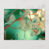 微妙な落下 ポストカード (正面)