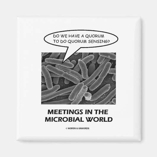 微生物世界での会議（クォーラムセンシング） マグネット (正面)