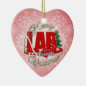 微生物学のクリスマスの衛生検査隊TECH セラミックオーナメント (右)