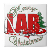 微生物学クリスマス医学研究所 タイル (正面)