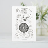 微生物学拡大生物医学顕微鏡 出欠カード (スタンド正面)