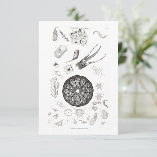 微生物学拡大生物医学顕微鏡 出欠カード (スタンド正面)