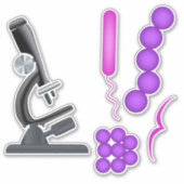 微生物学 シール (正面)