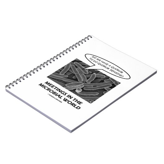 微生物界での会合（クォーラムセンシング） ノートブック (左側)