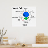 微生物菌酵母細胞の図 ポスター (キッチン)