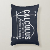 微積分は実際にそのロケット科学おもしろい数学 アクセントクッション (正面(垂直))