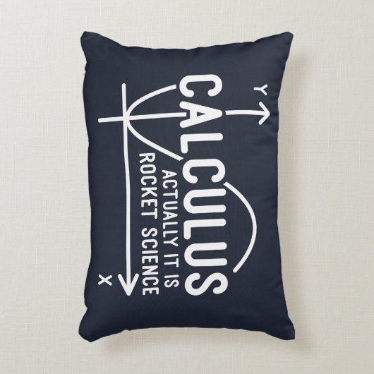 微積分は実際にそのロケット科学おもしろい数学 アクセントクッション (正面(垂直))