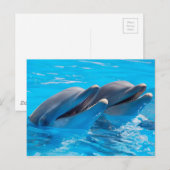 微笑のイルカ ポストカード (正面/裏面)
