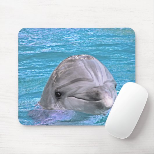 微笑のイルカ マウスパッド (マウス)