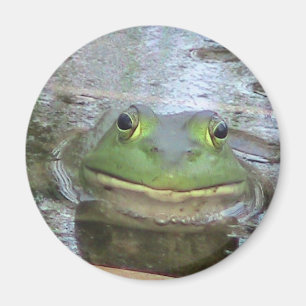 微笑のカエルの顔 マグネット