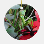 微笑のカマキリの~のオーナメント セラミックオーナメント (裏面)