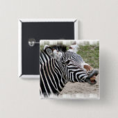 微笑のシマウマPin 缶バッジ (正面&裏面)